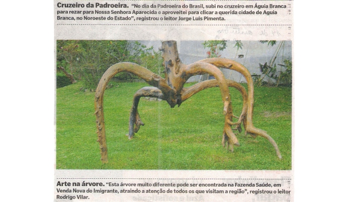 Arte na árvore - Fazenda Saúde